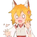 senkoWaitNoWait