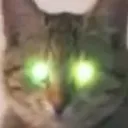 Cat Hyper Discord Emoji