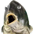 pgePog