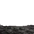 owoNezukoPeek