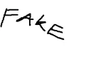 fake