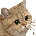 catUpset