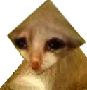SadPrayDog SadPrayDog
