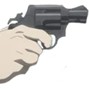Gun