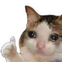 wuw