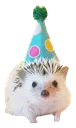 hogeparty