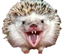 hogeyell