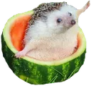 melonhoge