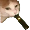 Sup Sup