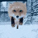 nom