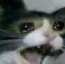 aaa