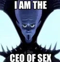 sexceo