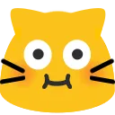 meowpuffystare