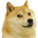 doger