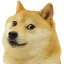 dogerotate