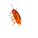 :danceroatch: Discord Emote