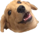 621467922371444773.png