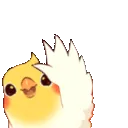 birdwave2