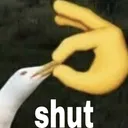 shut