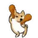 EuKFCDoge