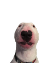 Walter Discord emoji