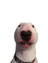 Walter Walter