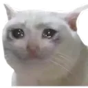 sadkitty sadkitty