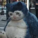 SadLax