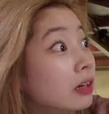 dubuscared