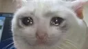 sedcat