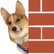 dogguWall