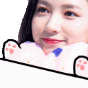 :ajiwoncat: Discord Emote