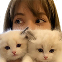 lisakitten Discord emoji