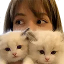 lisakitten Discord Emoji