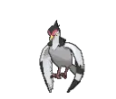 520
