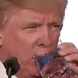 trumpsip