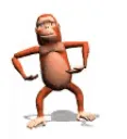 monkeyzoom