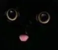 CatMlem