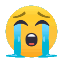 :crying_face:
