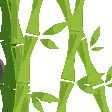 HR_PandaLurk HR_PandaLurk