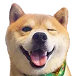 hehe hehe