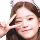 wonV wonV
