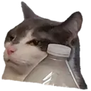 judgementalthumper