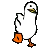 DUCK DUCK