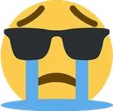 sunglassescry