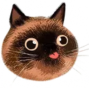 cat_yprls_01
