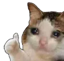 sadcatthumbs