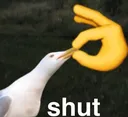 shut