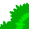 :PedoBearBush: Discord Emote