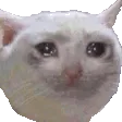 sadshakeoffthetears